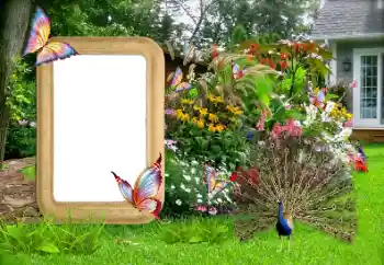 Foto Effekt från kategori Kvinna Fotoramar № 155936