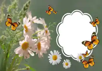 Foto Effekt från kategori Kvinna Fotoramar № 157064 Foto Effekt från kategori Kvinna Fotoramar № 157064