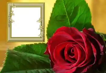 Foto Effekt från kategori Kvinna Fotoramar № 157088 Foto Effekt från kategori Kvinna Fotoramar № 157088