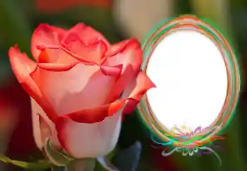 Foto Effekt från kategori Kvinna Fotoramar № 157090