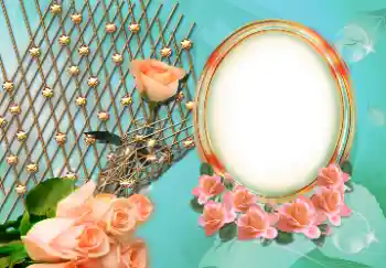 Foto Effekt från kategori Kvinna Fotoramar № 157126