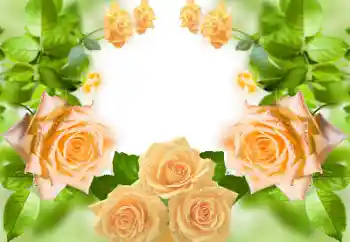 Foto Effekt från kategori Kvinna Fotoramar № 158383 Foto Effekt från kategori Kvinna Fotoramar № 158383