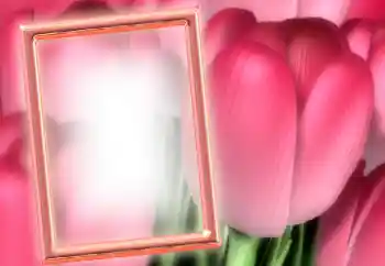 Foto Effekt från kategori Kvinna Fotoramar № 15899