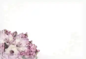 Foto Effekt från kategori Kvinna Fotoramar № 15911