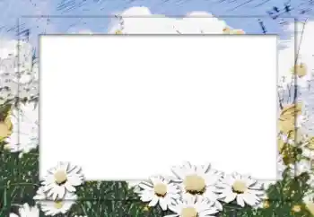 Foto Effekt från kategori Kvinna Fotoramar № 16006