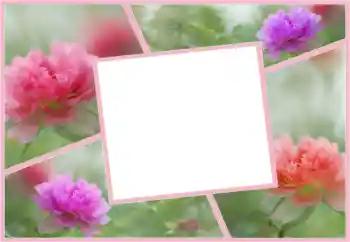 Foto Effekt från kategori Kvinna Fotoramar № 160554 Foto Effekt från kategori Kvinna Fotoramar № 160554