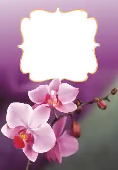 Foto Effekt från kategori Kvinna Fotoramar № 160699 Foto Effekt från kategori Kvinna Fotoramar № 160699