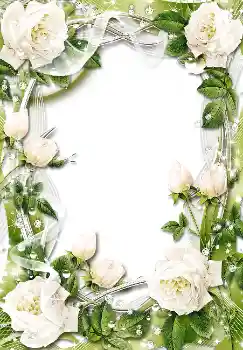 Foto Effekt från kategori Kvinna Fotoramar № 1611