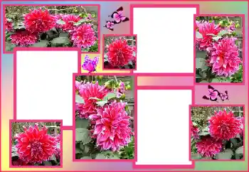 Foto Effekt från kategori Kvinna Fotoramar № 162009