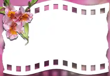 Foto Effekt från kategori Kvinna Fotoramar № 163337 Foto Effekt från kategori Kvinna Fotoramar № 163337