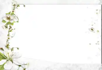 Foto Effekt från kategori Kvinna Fotoramar № 163602 Foto Effekt från kategori Kvinna Fotoramar № 163602