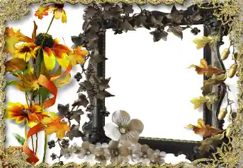 Foto Effekt från kategori Kvinna Fotoramar № 164786 Foto Effekt från kategori Kvinna Fotoramar № 164786