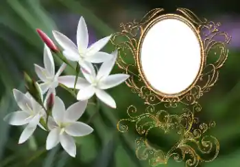 Foto Effekt från kategori Kvinna Fotoramar № 164897 Foto Effekt från kategori Kvinna Fotoramar № 164897