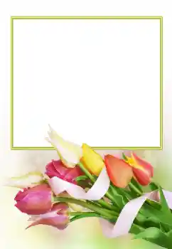 Foto Effekt från kategori Kvinna Fotoramar № 166153 Foto Effekt från kategori Kvinna Fotoramar № 166153