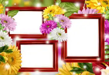 Foto Effekt från kategori Kvinna Fotoramar № 166266 Foto Effekt från kategori Kvinna Fotoramar № 166266