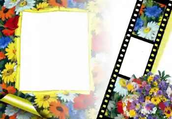 Foto Effekt från kategori Kvinna Fotoramar № 166315 Foto Effekt från kategori Kvinna Fotoramar № 166315