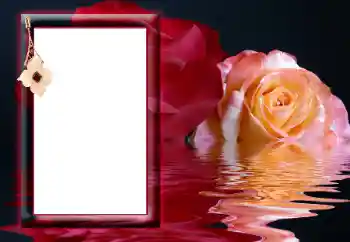 Foto Effekt från kategori Kvinna Fotoramar № 166641 Foto Effekt från kategori Kvinna Fotoramar № 166641