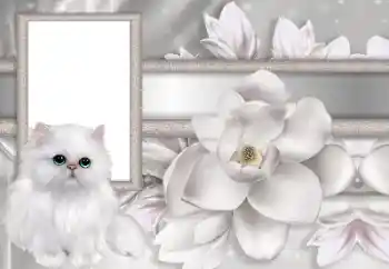 Foto Effekt från kategori Kvinna Fotoramar № 167744 Foto Effekt från kategori Kvinna Fotoramar № 167744