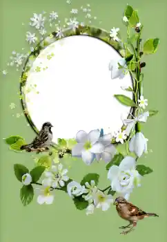 Foto Effekt från kategori Kvinna Fotoramar № 167829 Foto Effekt från kategori Kvinna Fotoramar № 167829