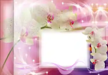 Foto Effekt från kategori Kvinna Fotoramar № 167835 Foto Effekt från kategori Kvinna Fotoramar № 167835