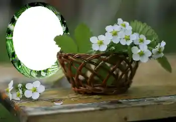 Foto Effekt från kategori Kvinna Fotoramar № 167999 Foto Effekt från kategori Kvinna Fotoramar № 167999