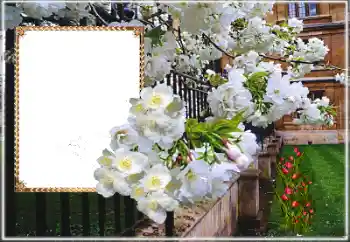 Foto Effekt från kategori Kvinna Fotoramar № 169025 Foto Effekt från kategori Kvinna Fotoramar № 169025