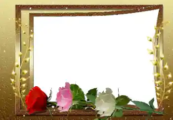 Foto Effekt från kategori Kvinna Fotoramar № 169033 Foto Effekt från kategori Kvinna Fotoramar № 169033