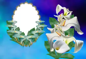 Foto Effekt från kategori Kvinna Fotoramar № 169156 Foto Effekt från kategori Kvinna Fotoramar № 169156