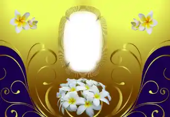 Foto Effekt från kategori Kvinna Fotoramar № 169210 Foto Effekt från kategori Kvinna Fotoramar № 169210