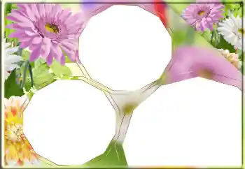 Foto Effekt från kategori Kvinna Fotoramar № 170418 Foto Effekt från kategori Kvinna Fotoramar № 170418