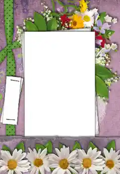 Foto Effekt från kategori Kvinna Fotoramar № 170521 Foto Effekt från kategori Kvinna Fotoramar № 170521