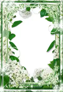 Foto Effekt från kategori Kvinna Fotoramar № 17130