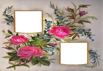 Foto Effekt från kategori Kvinna Fotoramar № 171684 Foto Effekt från kategori Kvinna Fotoramar № 171684