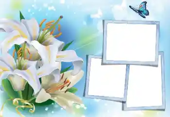 Foto Effekt från kategori Kvinna Fotoramar № 171813 Foto Effekt från kategori Kvinna Fotoramar № 171813