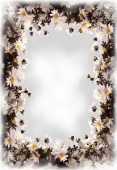 Foto Effekt från kategori Kvinna Fotoramar № 172819 Foto Effekt från kategori Kvinna Fotoramar № 172819