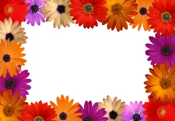 Foto Effekt från kategori Kvinna Fotoramar № 172916 Foto Effekt från kategori Kvinna Fotoramar № 172916