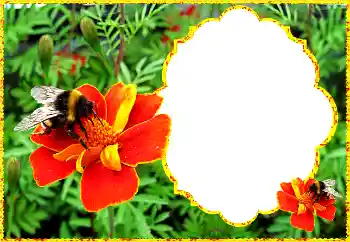 Foto Effekt från kategori Kvinna Fotoramar № 172931 Foto Effekt från kategori Kvinna Fotoramar № 172931