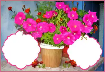 Foto Effekt från kategori Kvinna Fotoramar № 172978 Foto Effekt från kategori Kvinna Fotoramar № 172978