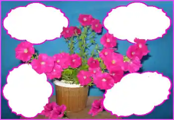 Foto Effekt från kategori Kvinna Fotoramar № 172980 Foto Effekt från kategori Kvinna Fotoramar № 172980