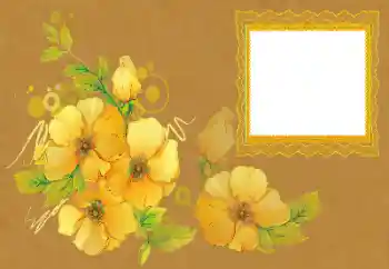 Foto Effekt från kategori Kvinna Fotoramar № 172996 Foto Effekt från kategori Kvinna Fotoramar № 172996