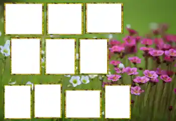 Foto Effekt från kategori Kvinna Fotoramar № 174173 Foto Effekt från kategori Kvinna Fotoramar № 174173