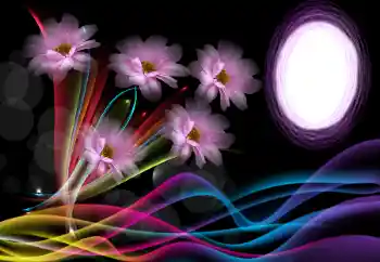 Foto Effekt från kategori Kvinna Fotoramar № 175500 Foto Effekt från kategori Kvinna Fotoramar № 175500