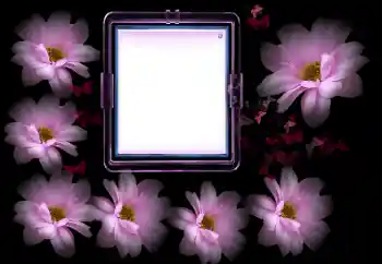 Foto Effekt från kategori Kvinna Fotoramar № 175502 Foto Effekt från kategori Kvinna Fotoramar № 175502