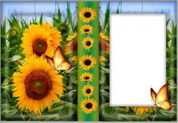 Foto Effekt från kategori Kvinna Fotoramar № 175542 Foto Effekt från kategori Kvinna Fotoramar № 175542