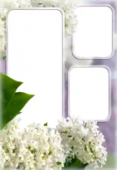 Foto Effekt från kategori Kvinna Fotoramar № 176613 Foto Effekt från kategori Kvinna Fotoramar № 176613