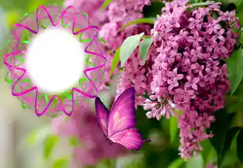 Foto Effekt från kategori Kvinna Fotoramar № 176770 Foto Effekt från kategori Kvinna Fotoramar № 176770