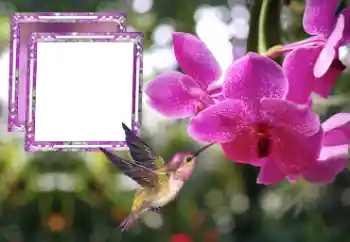 Foto Effekt från kategori Kvinna Fotoramar № 176778 Foto Effekt från kategori Kvinna Fotoramar № 176778