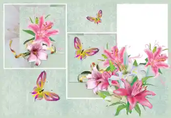 Foto Effekt från kategori Kvinna Fotoramar № 176820 Foto Effekt från kategori Kvinna Fotoramar № 176820