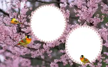 Foto Effekt från kategori Kvinna Fotoramar № 177884 Foto Effekt från kategori Kvinna Fotoramar № 177884