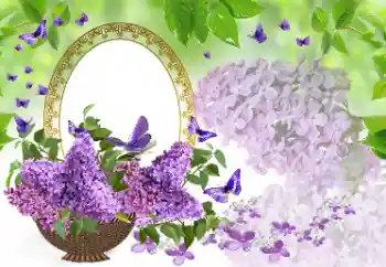 Foto Effekt från kategori Kvinna Fotoramar № 177975 Foto Effekt från kategori Kvinna Fotoramar № 177975